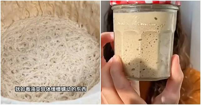 Lười nhưng thích 'chữa lành', giới trẻ Trung Quốc nuôi nấm men làm thú cưng - Ảnh 1. Lười nhưng thích 'chữa lành', giới trẻ Trung Quốc nuôi nấm men làm thú cưng - Ảnh 1.