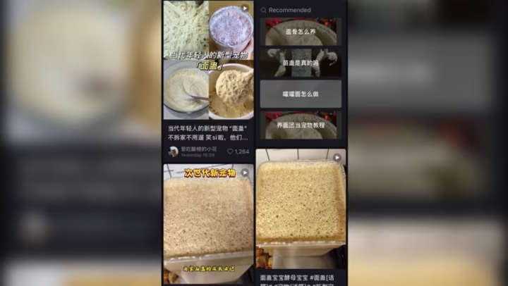 Lười nhưng thích 'chữa lành', giới trẻ Trung Quốc nuôi nấm men làm thú cưng - Ảnh 2. Lười nhưng thích 'chữa lành', giới trẻ Trung Quốc nuôi nấm men làm thú cưng - Ảnh 2.