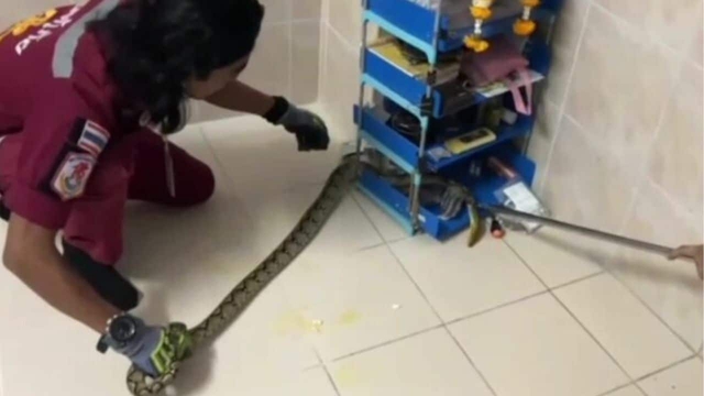Trời nóng nên để cửa mở rồi đi ngủ cho mát, 3 giờ sáng cặp đôi tỉnh dậy phát hiện cảnh tượng đáng sợ - Ảnh 1. Trời nóng nên để cửa mở rồi đi ngủ cho mát, 3 giờ sáng cặp đôi tỉnh dậy phát hiện cảnh tượng đáng sợ - Ảnh 1.