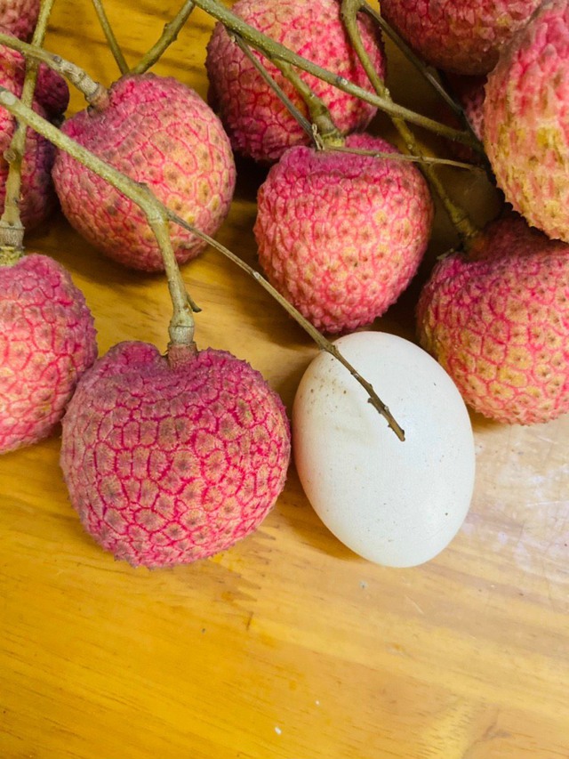 Loại vải hơn 10.000đ/quả, to bằng trứng gà: Người ăn nhận xét "Chưa bao giờ ăn vải nào ngon thế này" - Ảnh 1. Loại vải hơn 10.000đ/quả, to bằng trứng gà: Người ăn nhận xét "Chưa bao giờ ăn vải nào ngon thế này" - Ảnh 1.