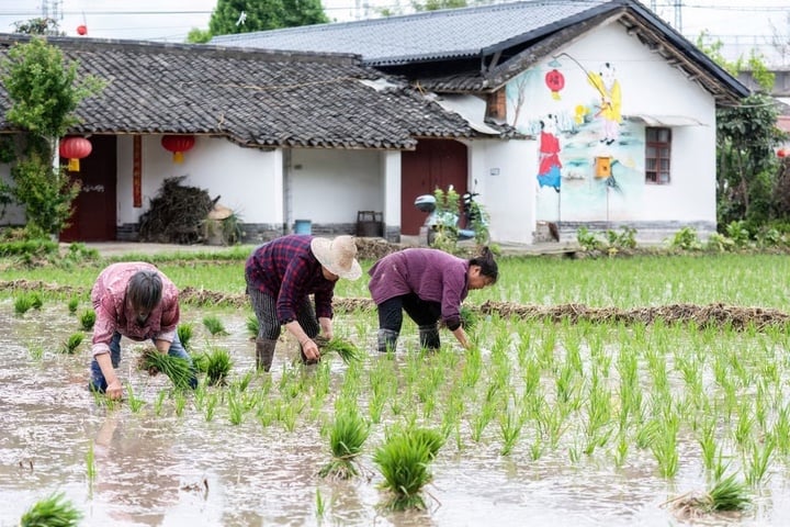 Lật lại vụ án 32 năm, tìm ra kẻ sát hại mẹ và bạn gái rồi bỏ trốn cùng chị dâu - Ảnh 2. Lật lại vụ án 32 năm, tìm ra kẻ sát hại mẹ và bạn gái rồi bỏ trốn cùng chị dâu - Ảnh 2.