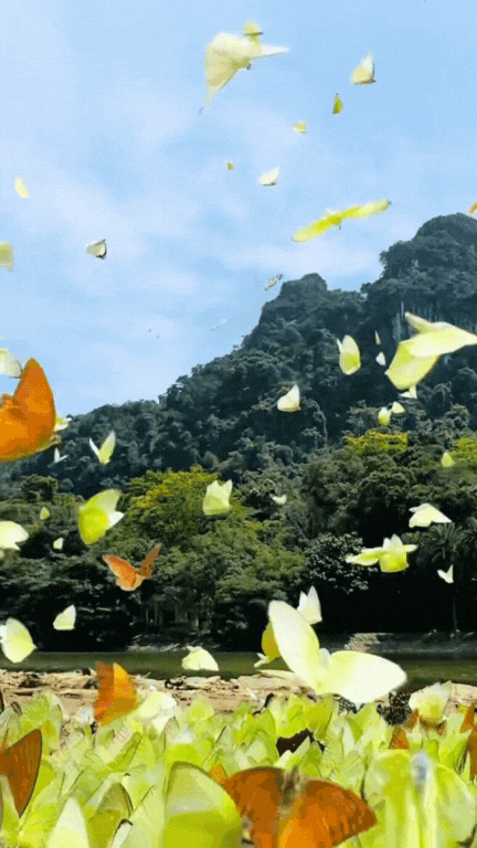 Trải nghiệm thế giới Trải nghiệm thế giới