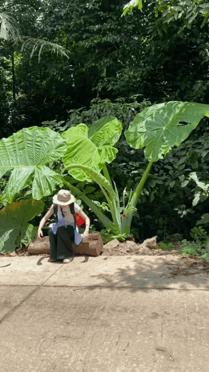 Trải nghiệm thế giới Trải nghiệm thế giới