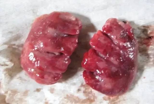 Ăn thịt gà ngon và bổ dưỡng nhưng có 7 bộ phận của con gà chớ dại mà ăn nhiều vì có thể chứa rác thải, độc tố, kim loại nặng - Ảnh 5. Ăn thịt gà ngon và bổ dưỡng nhưng có 7 bộ phận của con gà chớ dại mà ăn nhiều vì có thể chứa rác thải, độc tố, kim loại nặng - Ảnh 5.
