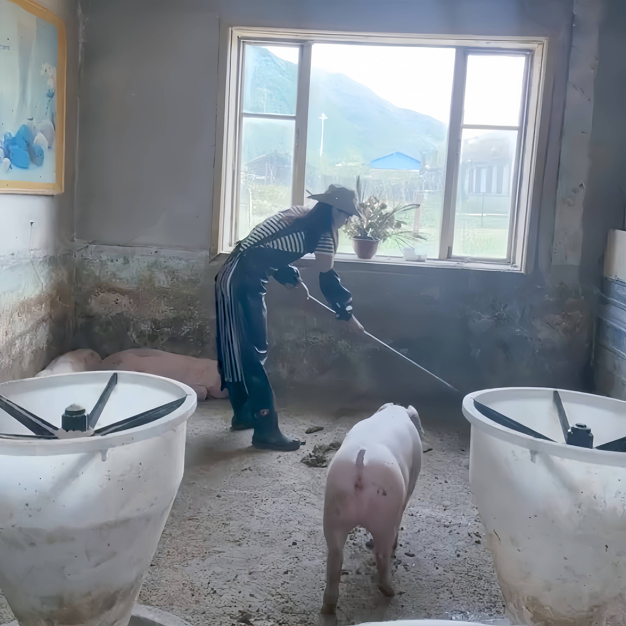 Tiếp viên hàng không nghỉ việc để làm một việc “nghe thôi đã thấy sợ”: Kiếm hơn 700 triệu trong 2 tháng - Ảnh 5. Tiếp viên hàng không nghỉ việc để làm một việc “nghe thôi đã thấy sợ”: Kiếm hơn 700 triệu trong 2 tháng - Ảnh 5.