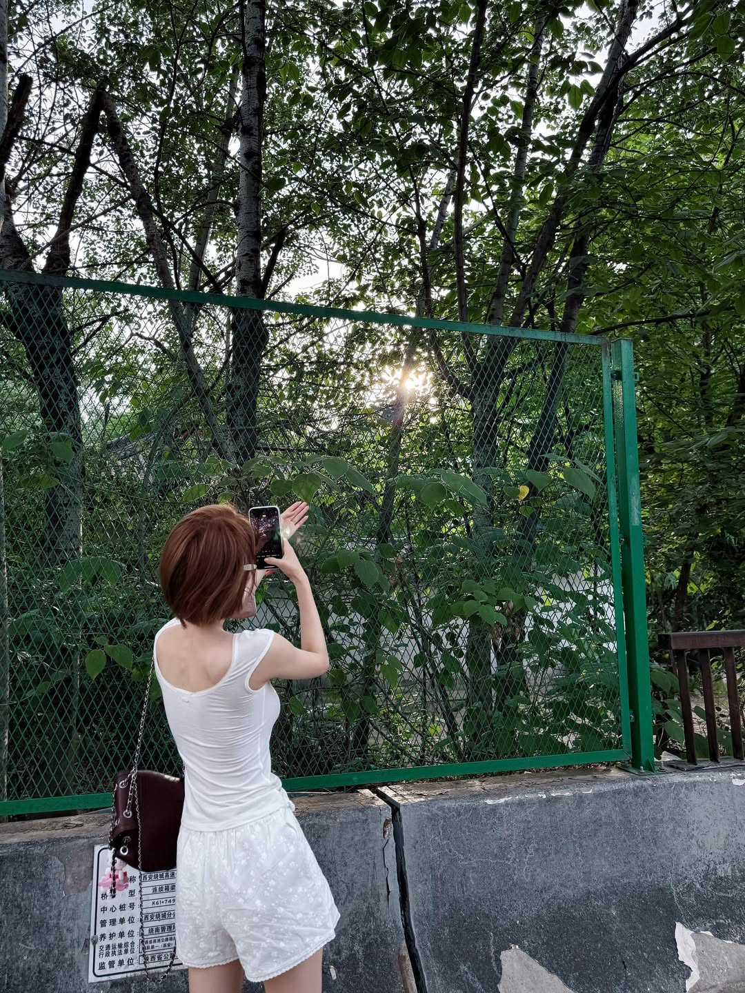 Triệu Lộ Tư cắt phăng mái tóc dài: Visual thăng hạng thấy rõ, style ngày càng lên hương- Ảnh 5. Triệu Lộ Tư cắt phăng mái tóc dài: Visual thăng hạng thấy rõ, style ngày càng lên hương- Ảnh 5.