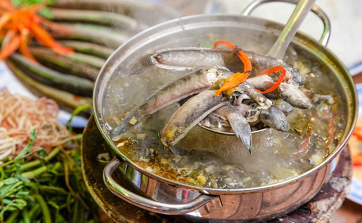 Loại cá Loại cá