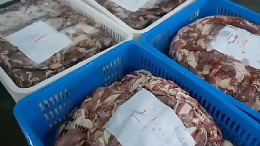 Theo dõi suốt 3 tháng, phanh phui đường dây sản xuất thịt giả doanh thu 127 tỷ đồng, tịch thu 900 tấn thịt chất thành &quot;núi&quot; - Ảnh 2.
