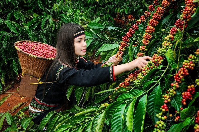 Từ hôm nay, thành phố có nhiều tên gọi nhất Việt Nam chính thức dừng hoạt động - Ảnh 4.