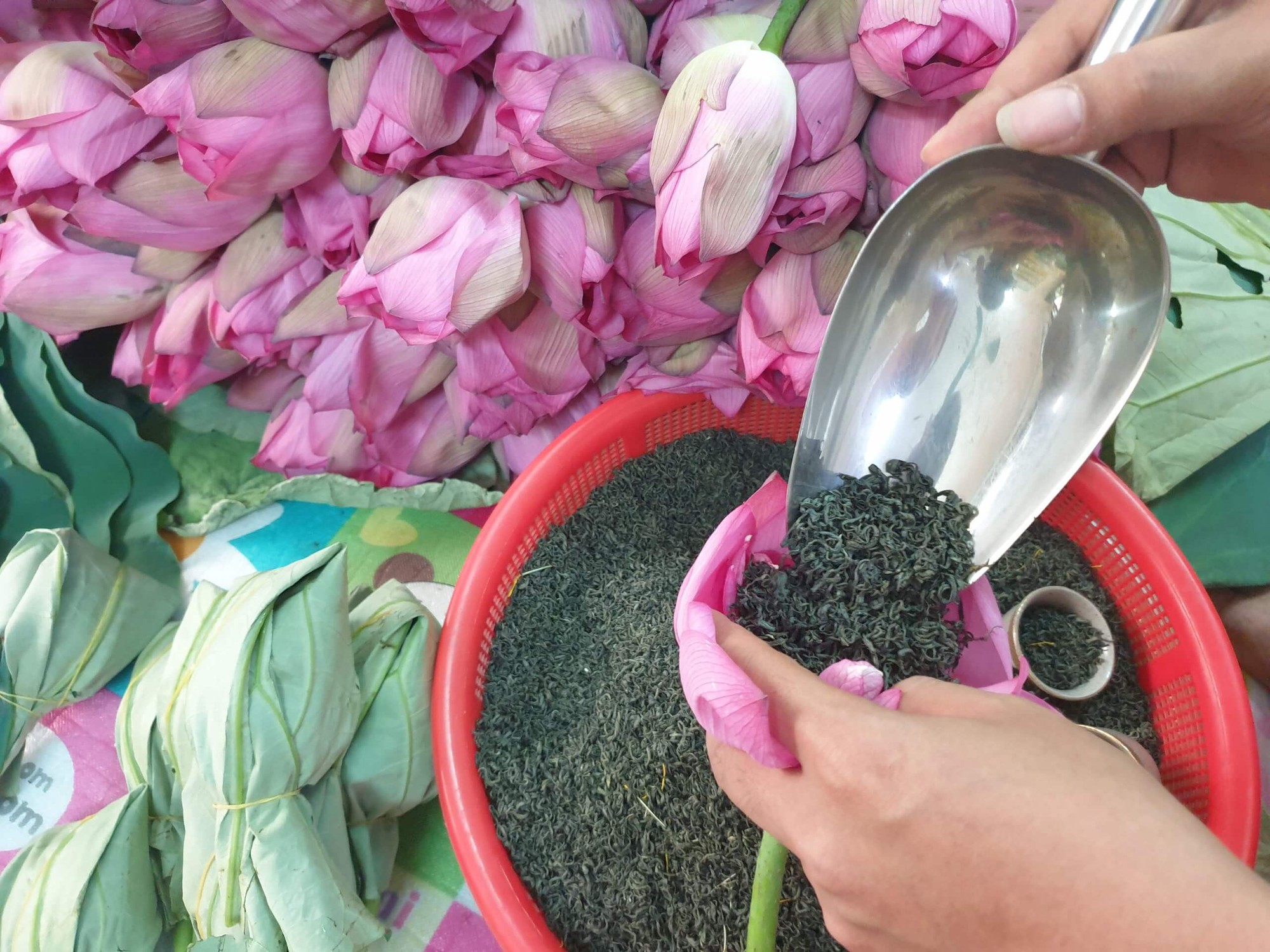 Loại trà đắt đỏ nhất Hà Nội: Đặc biệt thế nào mà có giá hơn 10 triệu đồng/kg? - Ảnh 4. Loại trà đắt đỏ nhất Hà Nội: Đặc biệt thế nào mà có giá hơn 10 triệu đồng/kg? - Ảnh 4.
