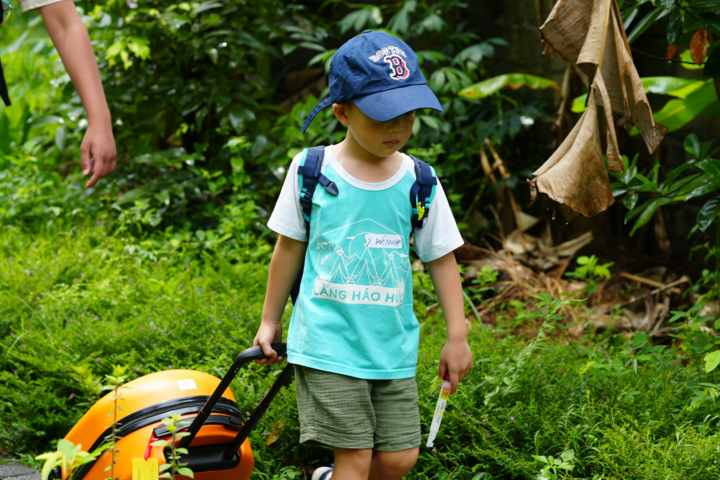 Sau vụ trại hè Làng Háo Hức, nhiều phụ huynh giật mình từng 'giao trứng cho ác' - Ảnh 1. Sau vụ trại hè Làng Háo Hức, nhiều phụ huynh giật mình từng 'giao trứng cho ác' - Ảnh 1.
