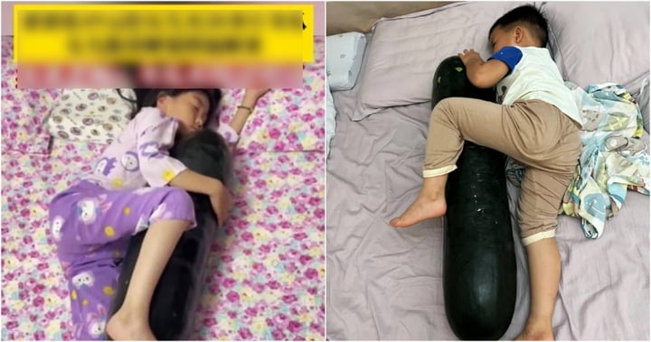 Vì sao trend ngủ với quả bí đao thay vì bật điều hòa lại 'hot' ở Trung Quốc? - Ảnh 1. Vì sao trend ngủ với quả bí đao thay vì bật điều hòa lại 'hot' ở Trung Quốc? - Ảnh 1.