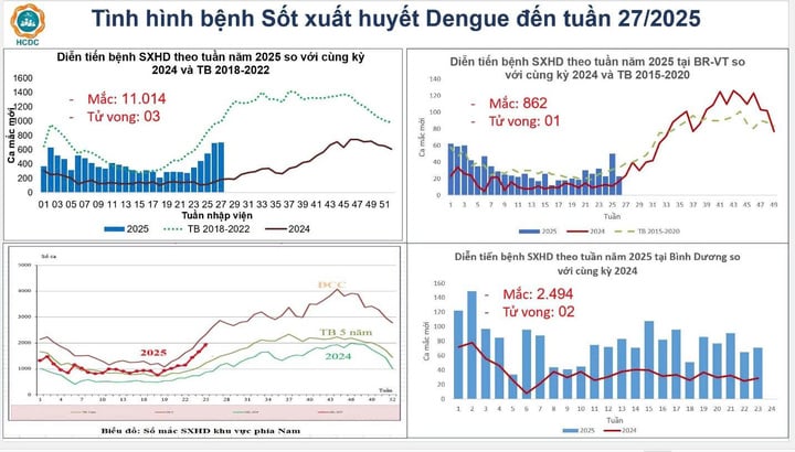 6 người tử vong vì sốt xuất huyết, TP.HCM tăng cường kiểm soát ổ dịch - Ảnh 1. 6 người tử vong vì sốt xuất huyết, TP.HCM tăng cường kiểm soát ổ dịch - Ảnh 1.