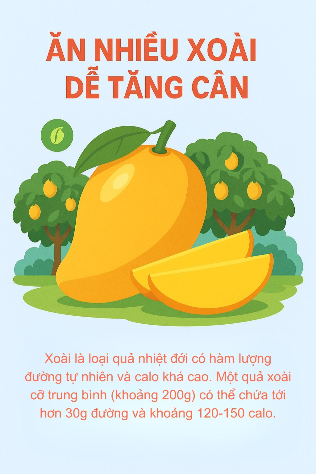 6 loại quả là 6 loại quả là