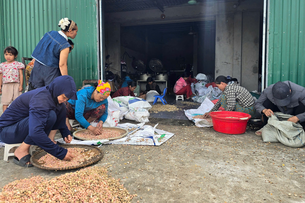 Sợ dầu ăn 'bẩn' trên thị trường, người dân Nghệ An đổ xô đi ép dầu hạt về sử dụng - Ảnh 5. Sợ dầu ăn 'bẩn' trên thị trường, người dân Nghệ An đổ xô đi ép dầu hạt về sử dụng - Ảnh 5.