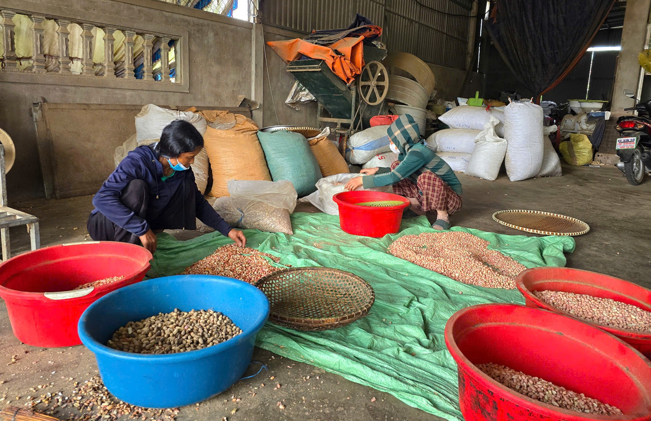 Sợ dầu ăn 'bẩn' trên thị trường, người dân Nghệ An đổ xô đi ép dầu hạt về sử dụng - Ảnh 9. Sợ dầu ăn 'bẩn' trên thị trường, người dân Nghệ An đổ xô đi ép dầu hạt về sử dụng - Ảnh 9.