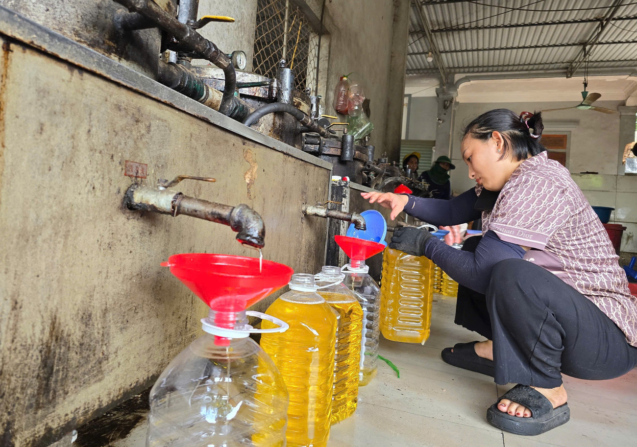 Sợ dầu ăn 'bẩn' trên thị trường, người dân Nghệ An đổ xô đi ép dầu hạt về sử dụng - Ảnh 2. Sợ dầu ăn 'bẩn' trên thị trường, người dân Nghệ An đổ xô đi ép dầu hạt về sử dụng - Ảnh 2.