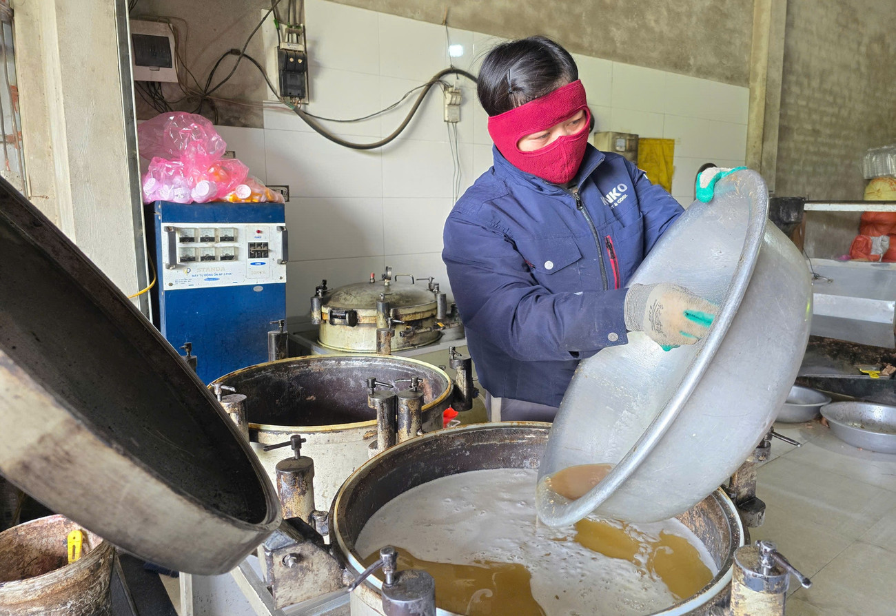 Sợ dầu ăn 'bẩn' trên thị trường, người dân Nghệ An đổ xô đi ép dầu hạt về sử dụng - Ảnh 8. Sợ dầu ăn 'bẩn' trên thị trường, người dân Nghệ An đổ xô đi ép dầu hạt về sử dụng - Ảnh 8.
