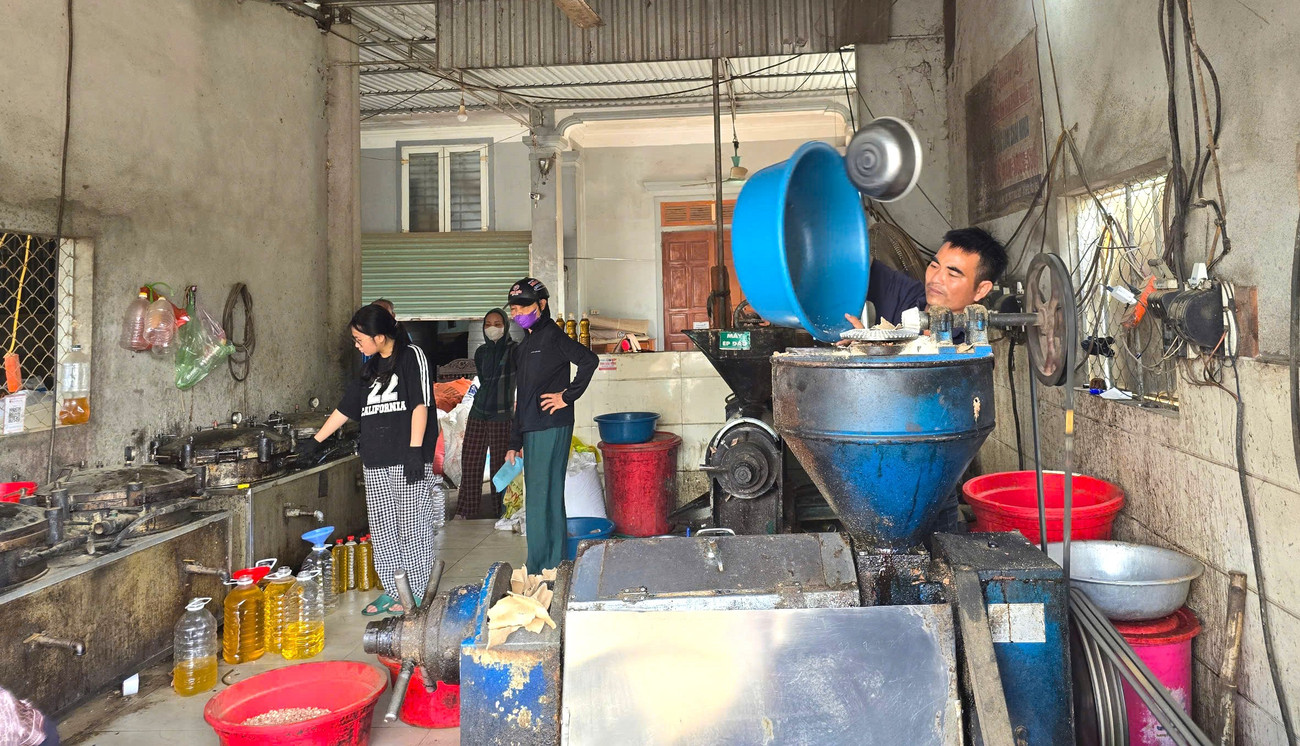 Sợ dầu ăn 'bẩn' trên thị trường, người dân Nghệ An đổ xô đi ép dầu hạt về sử dụng - Ảnh 1. Sợ dầu ăn 'bẩn' trên thị trường, người dân Nghệ An đổ xô đi ép dầu hạt về sử dụng - Ảnh 1.