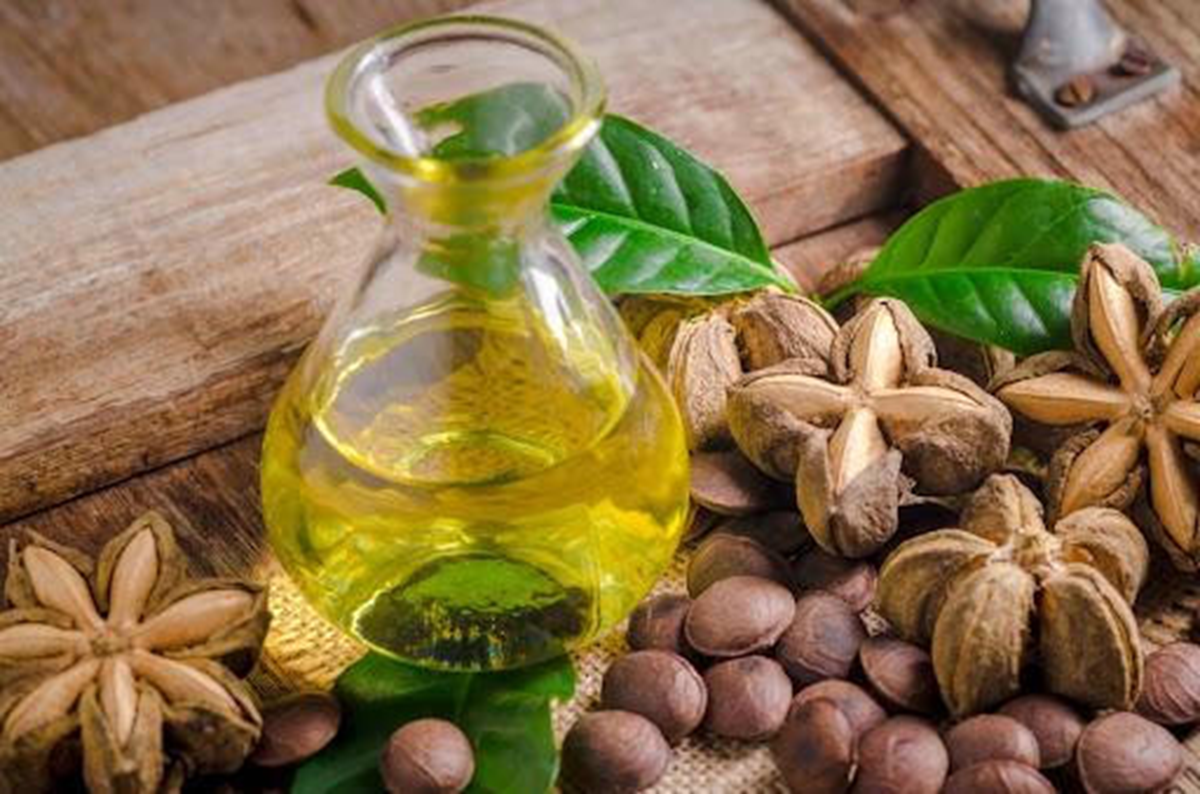 Loại hạt đắt đỏ bậc nhất thế giới, không ngờ có đầy ở Việt Nam - Ảnh 3. Loại hạt đắt đỏ bậc nhất thế giới, không ngờ có đầy ở Việt Nam - Ảnh 3.