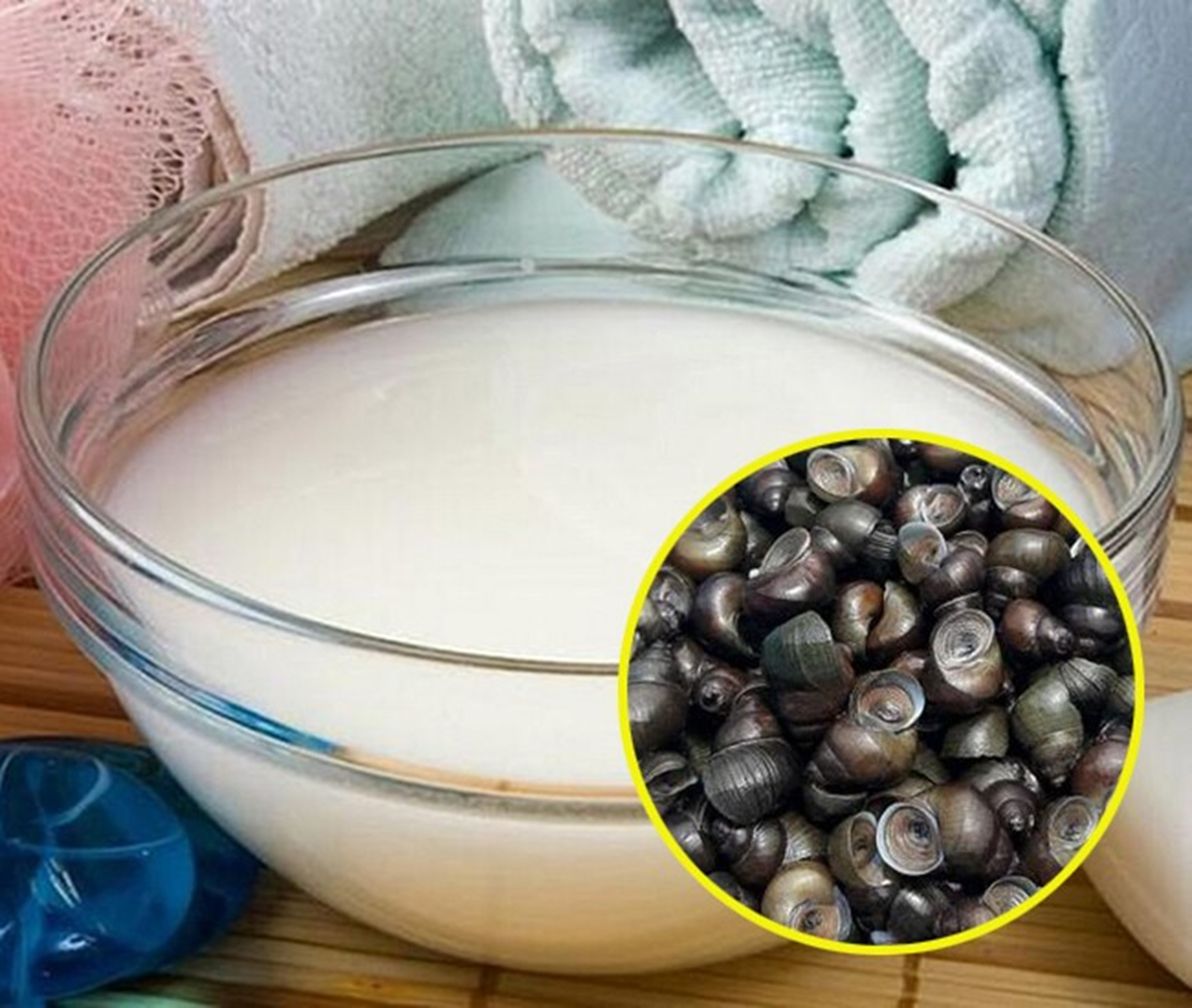 Luộc ốc phải nhớ ngay những điều này, ốc vừa sạch lại ngon giòn "chuẩn" vị nhà hàng - Ảnh 2. Luộc ốc phải nhớ ngay 3 điều này, ốc vừa sạch lại ngon giòn "chuẩn" vị nhà hàng - Ảnh 2.