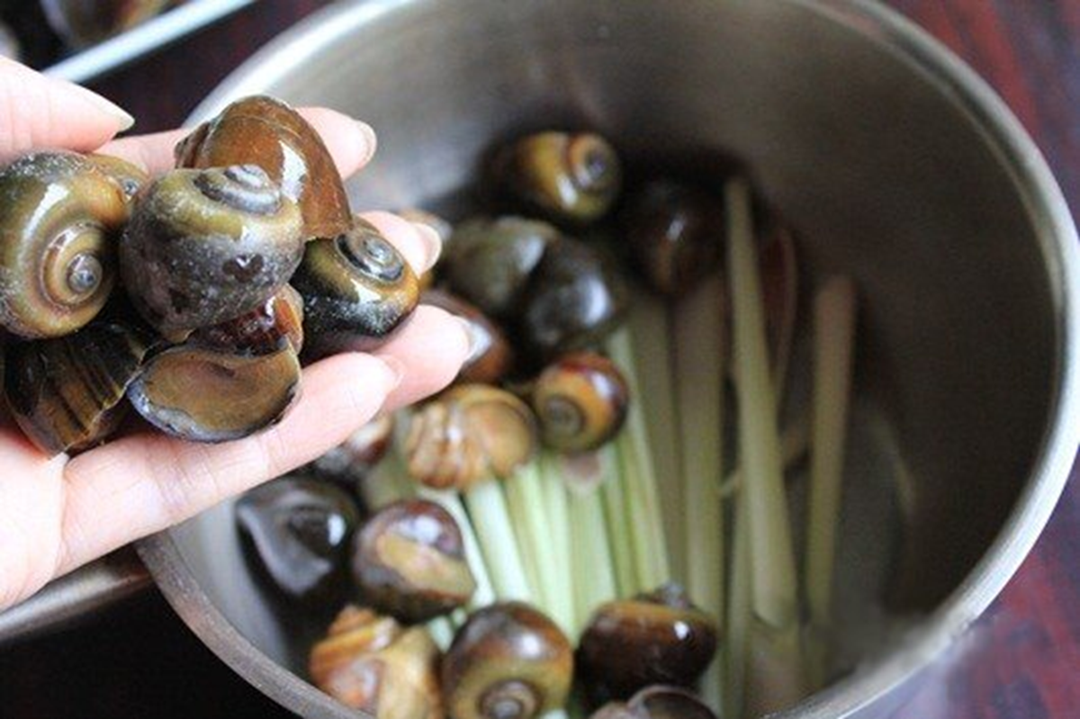 Luộc ốc phải nhớ ngay những điều này, ốc vừa sạch lại ngon giòn "chuẩn" vị nhà hàng - Ảnh 1. Luộc ốc phải nhớ ngay 3 điều này, ốc vừa sạch lại ngon giòn "chuẩn" vị nhà hàng - Ảnh 1.