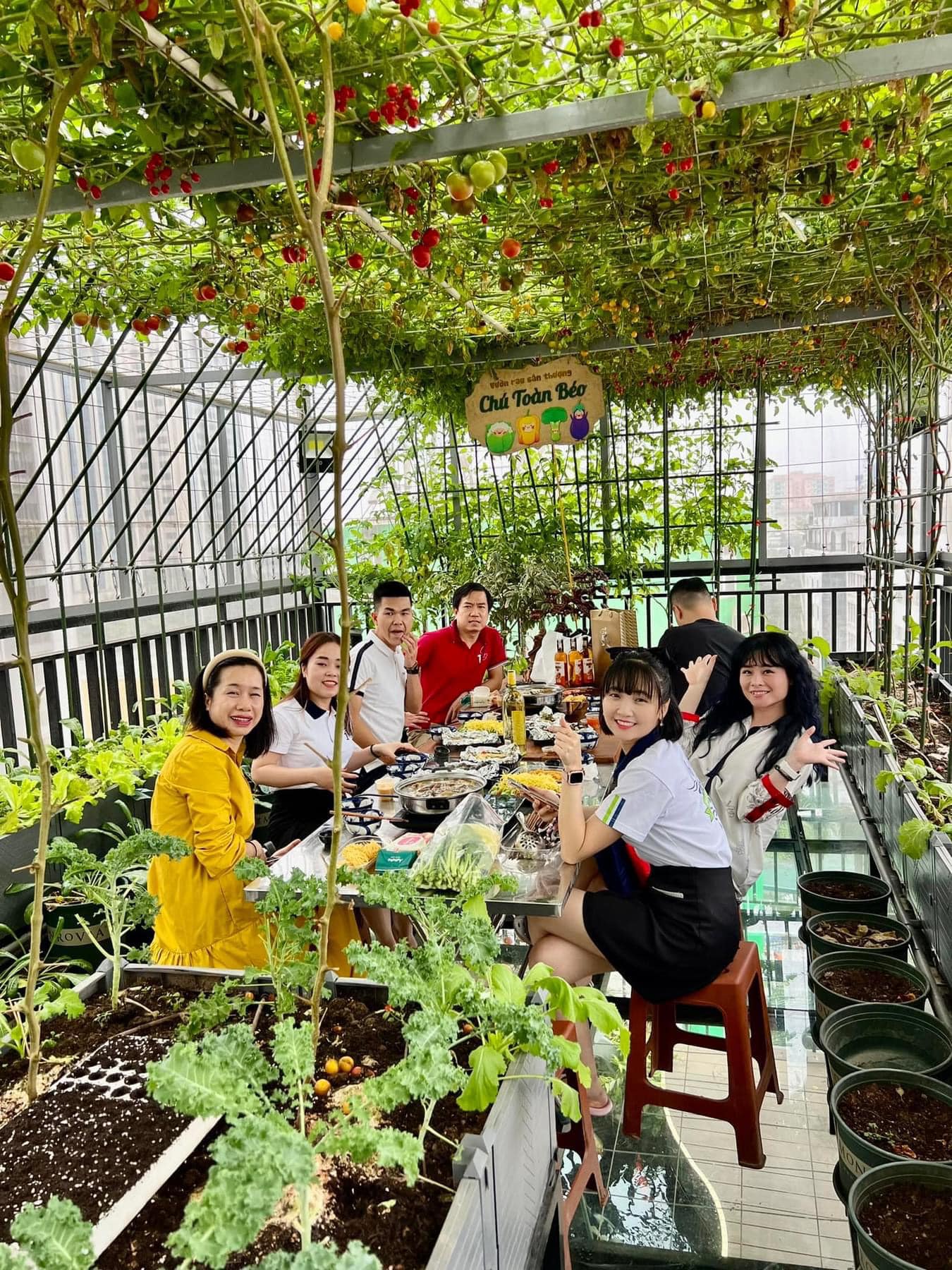 Gửi rau thay lời cảm ơn: Ông bố Hà Nội biến sân thượng thành vườn, tặng nông sản cho người ủng hộ thiện nguyện- Ảnh 6.