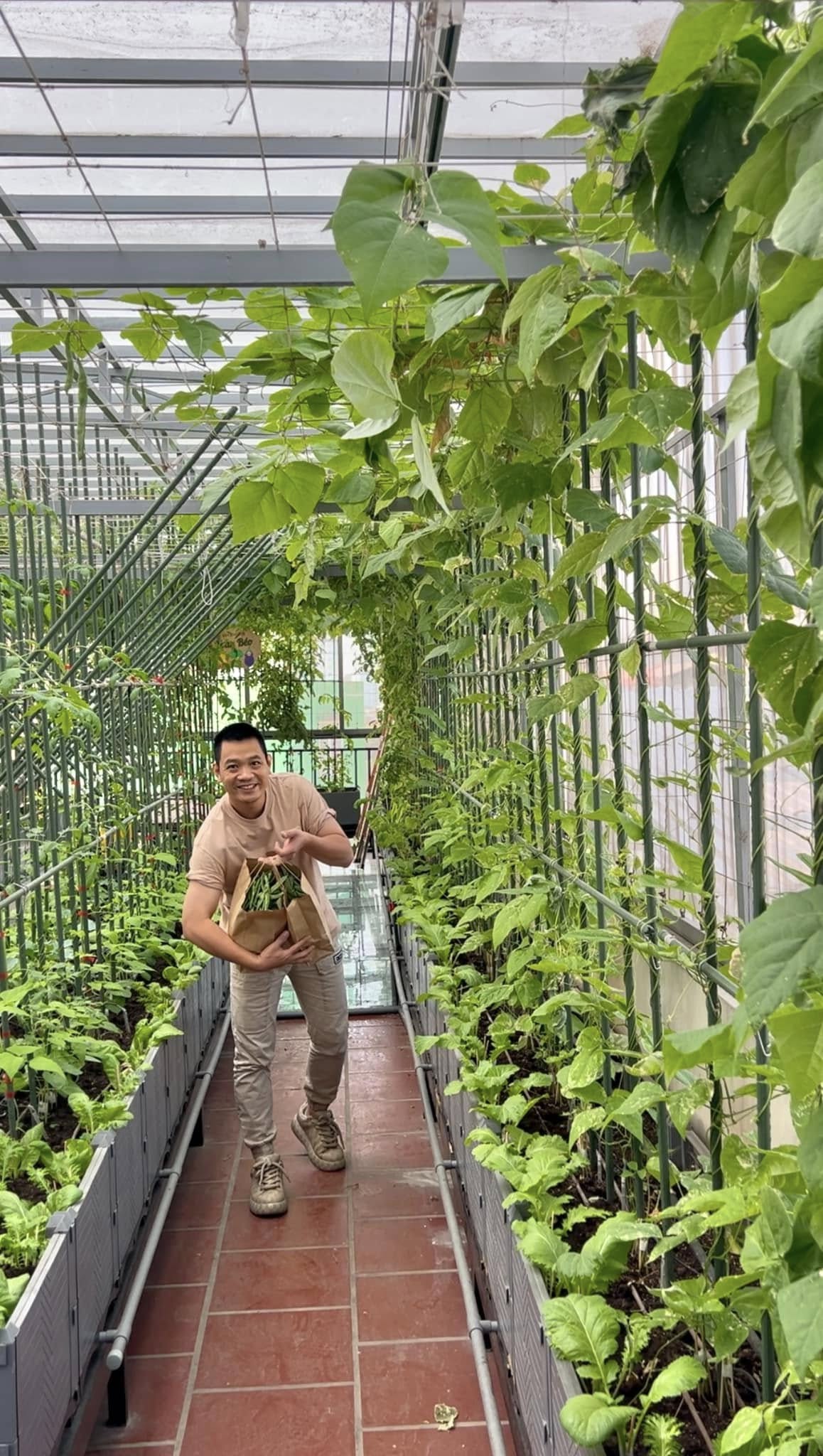 Gửi rau thay lời cảm ơn: Ông bố Hà Nội biến sân thượng thành vườn, tặng nông sản cho người ủng hộ thiện nguyện- Ảnh 13.