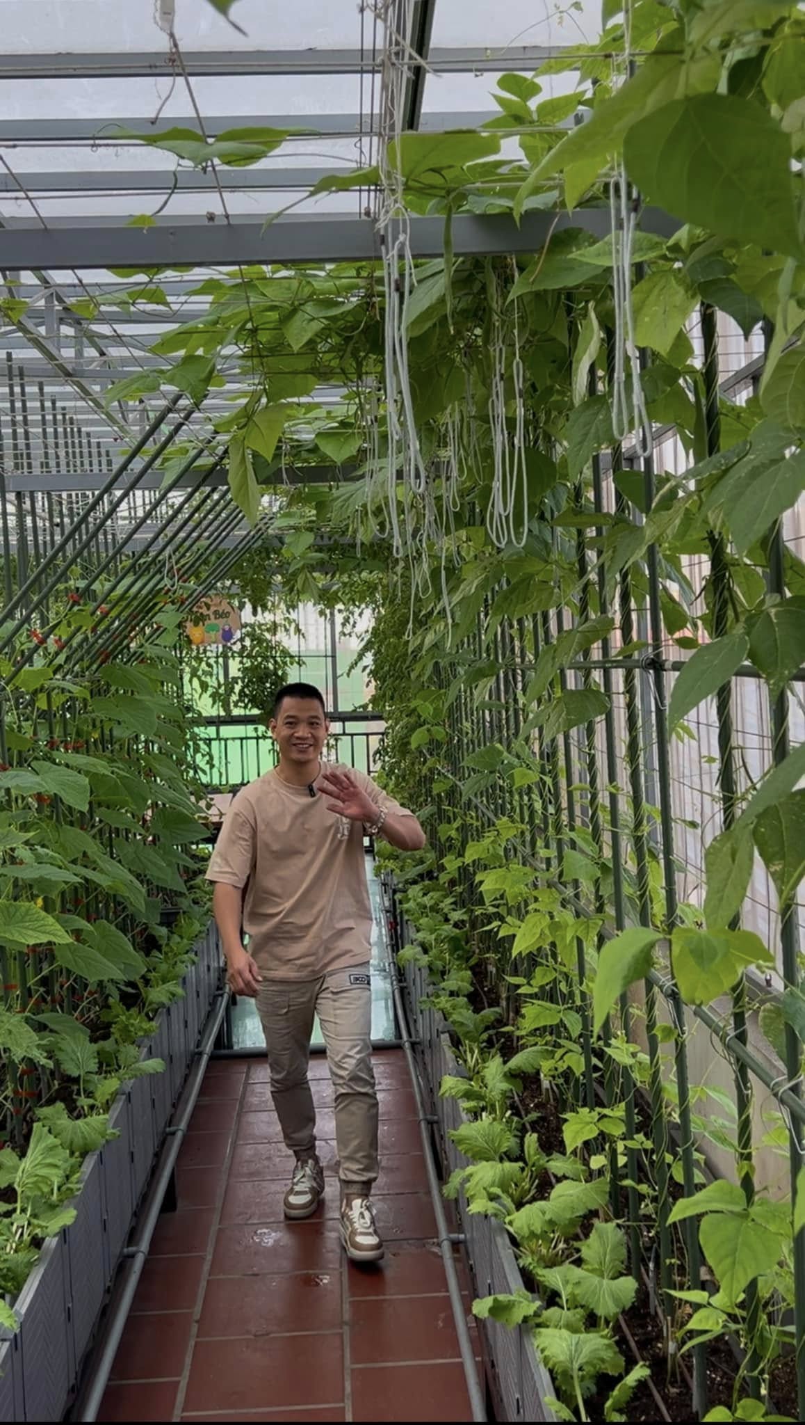 Gửi rau thay lời cảm ơn: Ông bố Hà Nội biến sân thượng thành vườn, tặng nông sản cho người ủng hộ thiện nguyện- Ảnh 10.