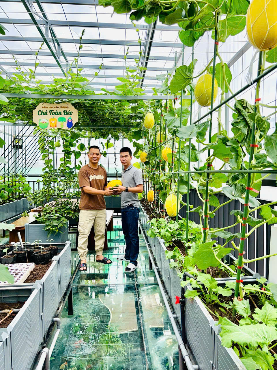 Gửi rau thay lời cảm ơn: Ông bố Hà Nội biến sân thượng thành vườn, tặng nông sản cho người ủng hộ thiện nguyện- Ảnh 16.