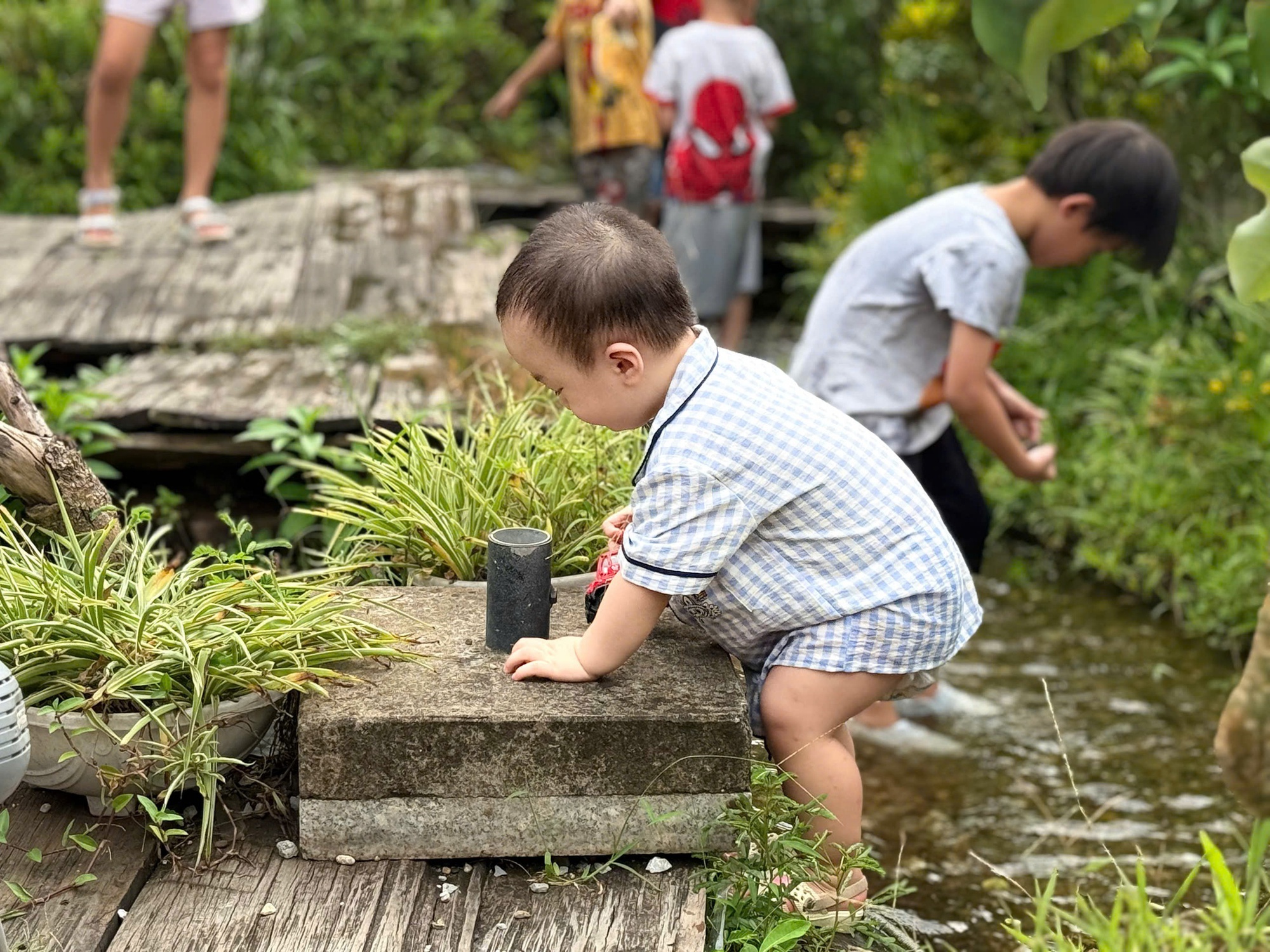 Check quán cafe có suối nước, rừng cây giữa Hà Nội: Bé được trải nghiệm hòa mình cùng thiên nhiên, mẹ chỉ cần giơ máy lên là có ảnh đẹp- Ảnh 8. Check quán cafe có suối nước, rừng cây giữa Hà Nội: Bé được trải nghiệm hòa mình cùng thiên nhiên, mẹ chỉ cần giơ máy lên là có ảnh đẹp- Ảnh 8.