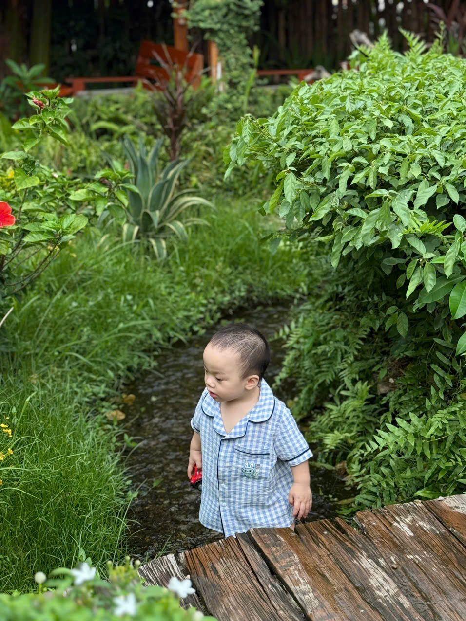 Check quán cafe có suối nước, rừng cây giữa Hà Nội: Bé được trải nghiệm hòa mình cùng thiên nhiên, mẹ chỉ cần giơ máy lên là có ảnh đẹp- Ảnh 9. Check quán cafe có suối nước, rừng cây giữa Hà Nội: Bé được trải nghiệm hòa mình cùng thiên nhiên, mẹ chỉ cần giơ máy lên là có ảnh đẹp- Ảnh 9.