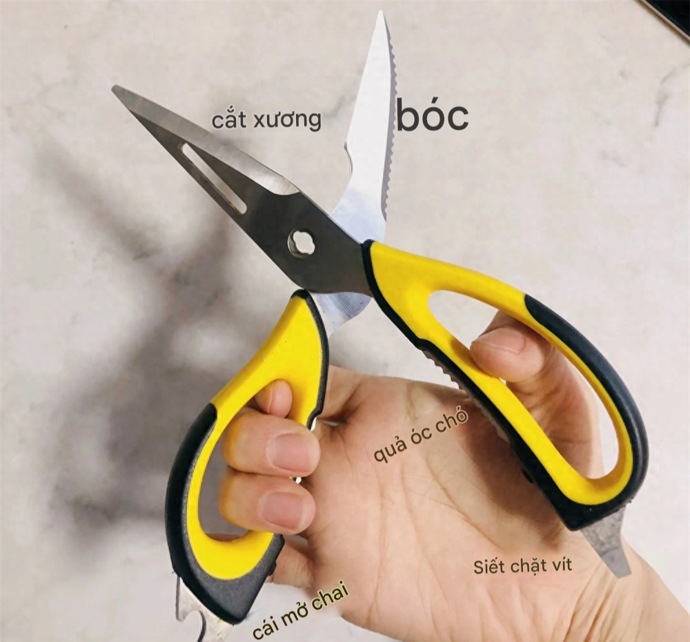 base64-17525500999481469102413-1752640987166-17526409923401039731848.jpeg