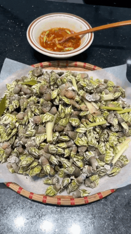 oc-mong-tay-quy-ha-ngong-3-175265729025456939250.gif
