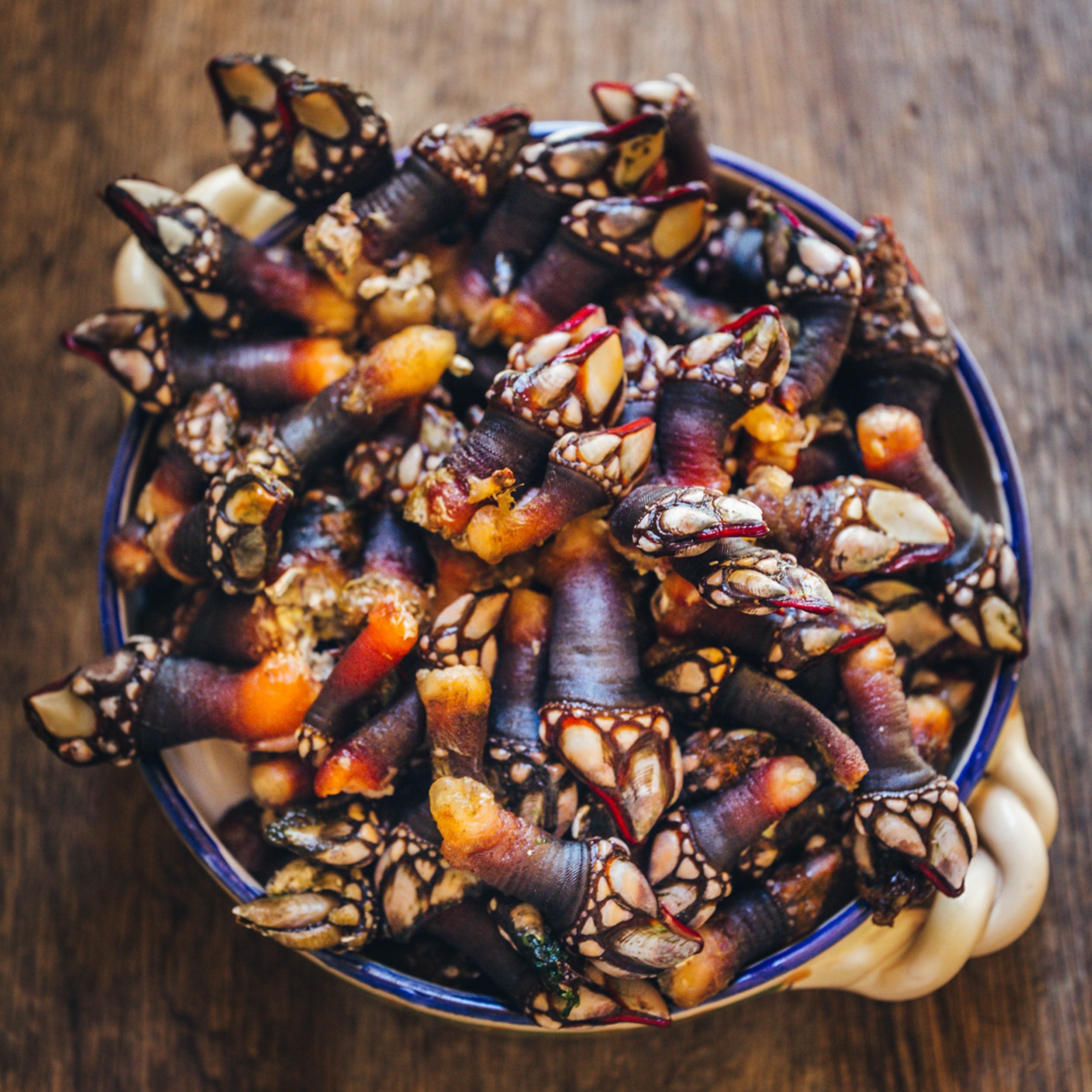 percebes2-1752656169393116979541.jpg