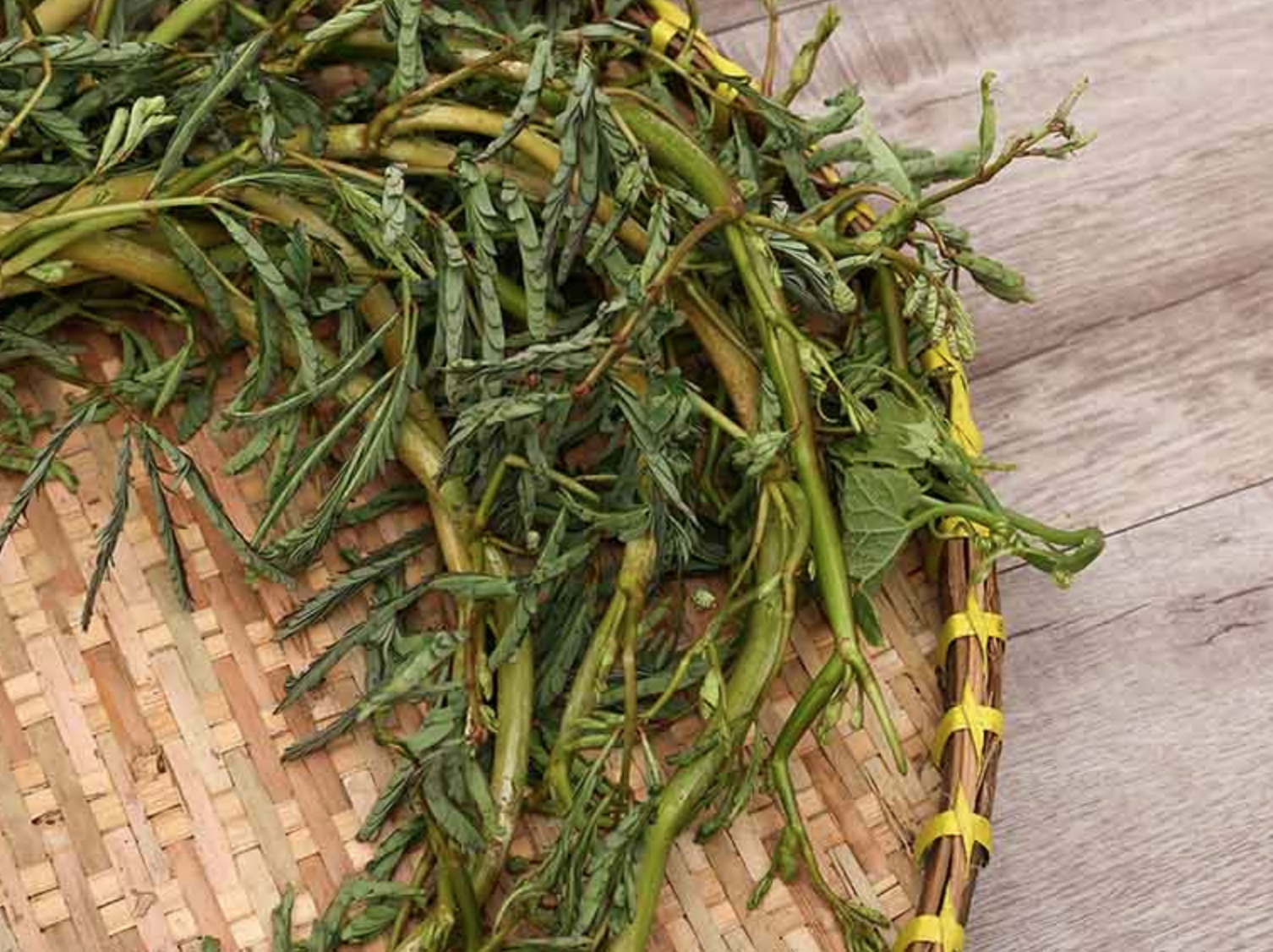Loại rau 10.000 đồng/bó nhưng chỉ nhặt được 1 "nhúm": Ở nước ngoài có tiền cũng chưa chắc mua được! - Ảnh 2. Loại rau 10.000 đồng/bó nhưng chỉ nhặt được 1 "nhúm": Ở nước ngoài có tiền cũng chưa chắc mua được! - Ảnh 2.