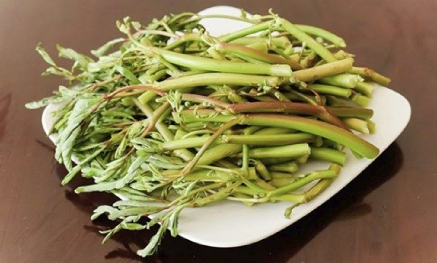 Loại rau 10.000 đồng/bó nhưng chỉ nhặt được 1 "nhúm": Ở nước ngoài có tiền cũng chưa chắc mua được! - Ảnh 3. Loại rau 10.000 đồng/bó nhưng chỉ nhặt được 1 "nhúm": Ở nước ngoài có tiền cũng chưa chắc mua được! - Ảnh 3.