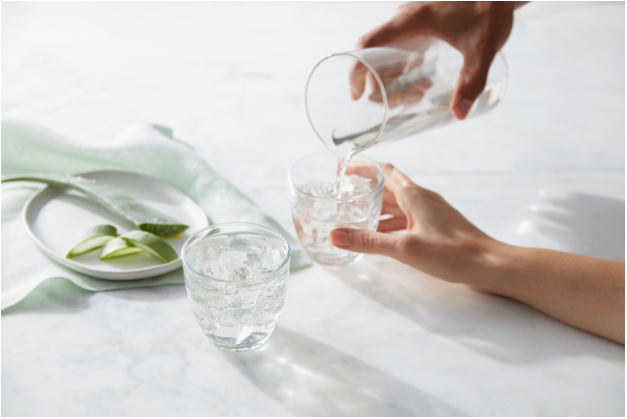 Vai trò quan trọng của phương pháp xác định trong đảm bảo chất lượng sản phẩm có nguồn gốc từ lô hội - Ảnh 1.