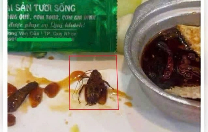 Thực khách phát hiện gián trong món ăn của một nhà hàng có tiếng tại Quy Nhơn - Ảnh 1.