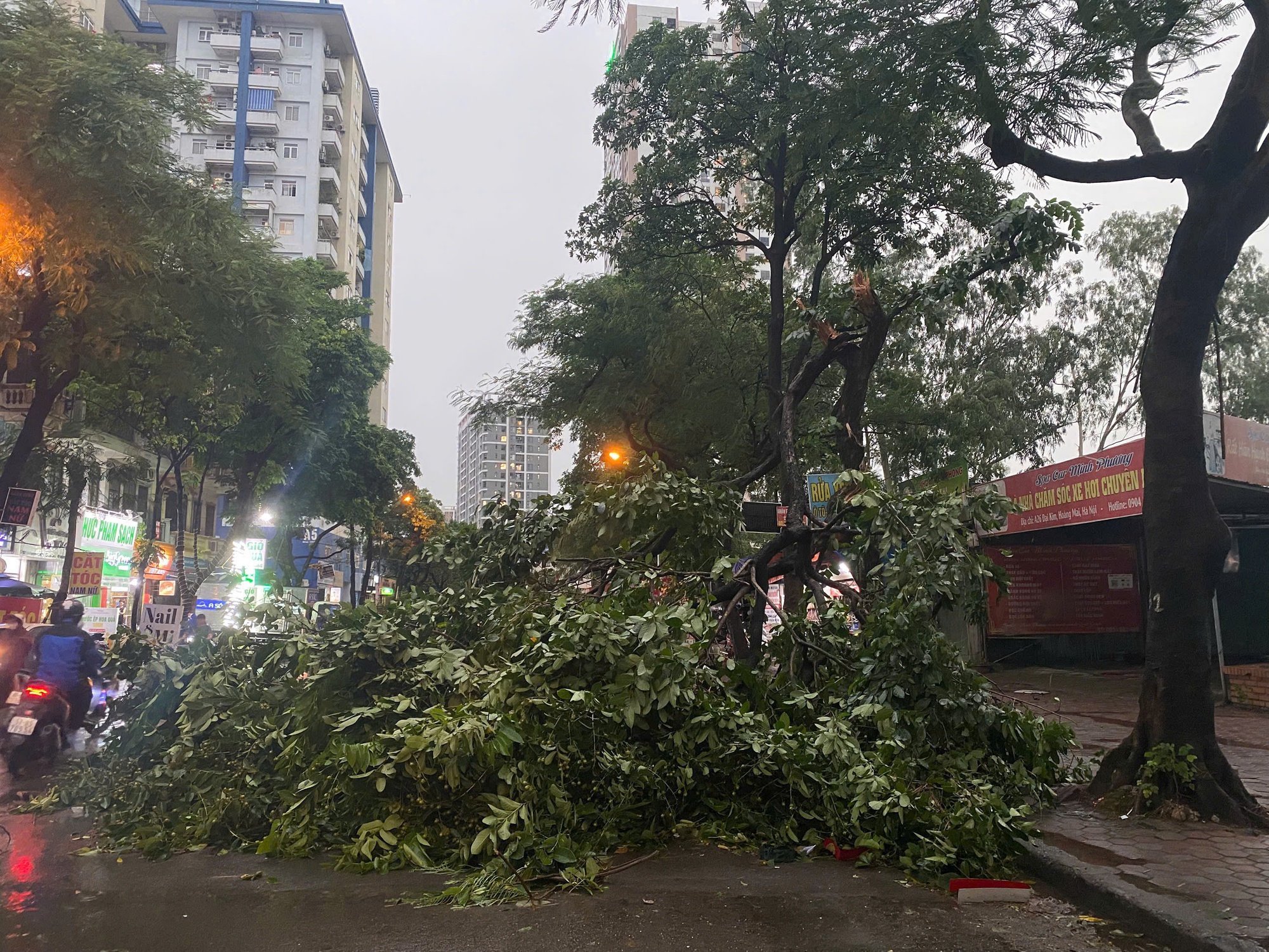 Chùm ảnh: Đường phố Hà Nội tan hoang sau cơn giông kinh hoàng, cây xanh bật gốc và gãy đổ hàng loạt - Ảnh 2.