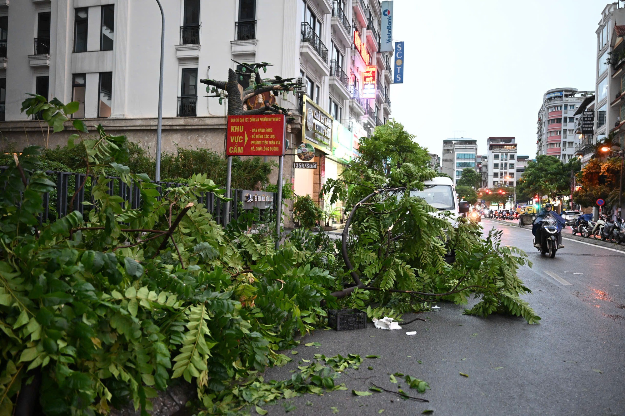 Chùm ảnh: Đường phố Hà Nội tan hoang sau cơn giông kinh hoàng, cây xanh bật gốc và gãy đổ hàng loạt - Ảnh 8.