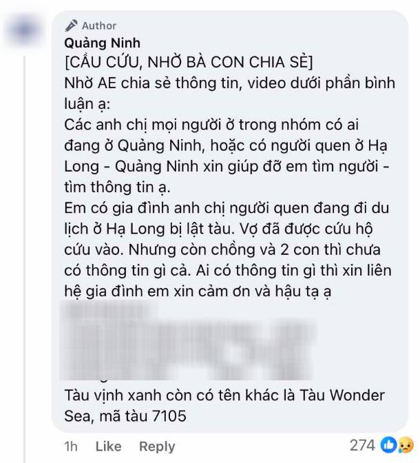 Vụ lật tàu ở Hạ Long: Những dòng tin tìm người thân nghẹn ngào lan khắp mạng xã hội - Ảnh 4.