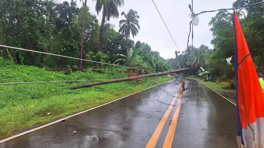 Những hình ảnh ban đầu cho thấy sức tàn phá của bão Wipha: Gió giật lên tới 125km/h, nhiều cảnh báo khẩn đã được đưa ra - Ảnh 3.