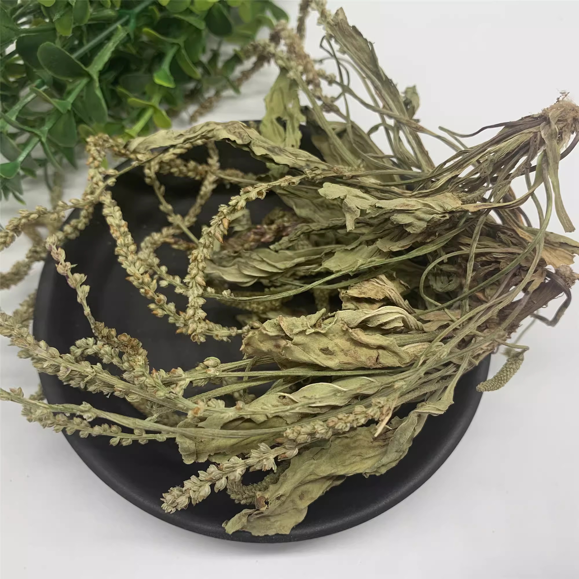 Việt Nam có loại cây mọc dại, người Trung Quốc coi là ‘cỏ tài lộc’: Hóa ra là vị thuốc quý - Ảnh 4.