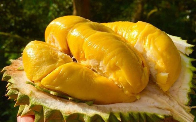 Muốn da đẹp luôn ẩm mịn, trắng sáng vào mùa hè? Ăn ngay 5 loại trái cây &quot;thần kỳ&quot; này!
