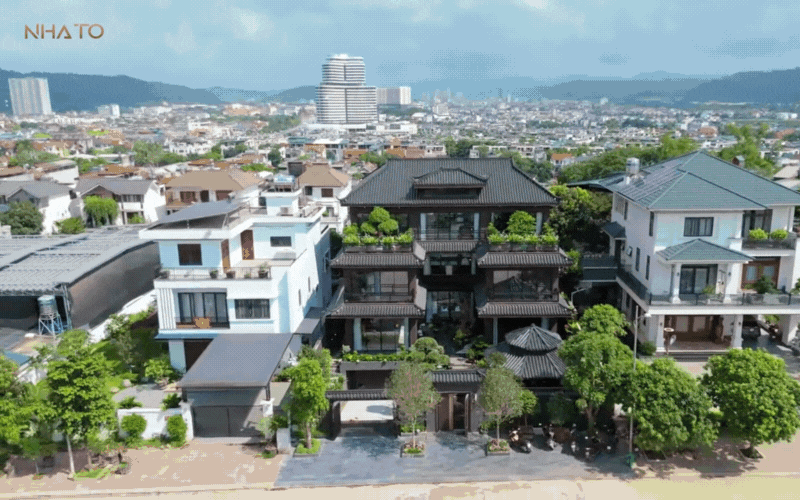 biet-phu-rong-lon-1-1751426623846513093570.gif