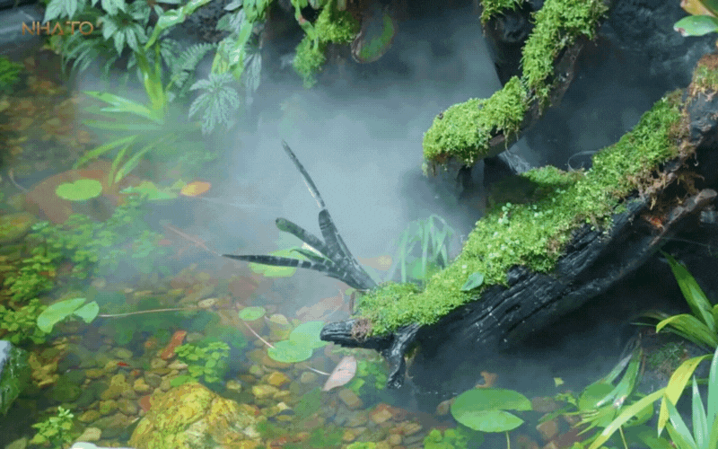 biet-phu-rong-lon-7-1751426878387156114433.gif