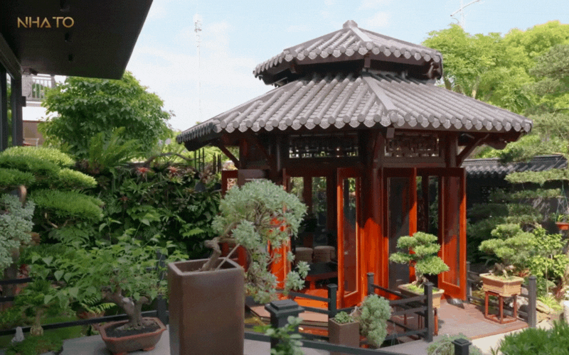 biet-phu-rong-lon-9-1751426798000438607890.gif