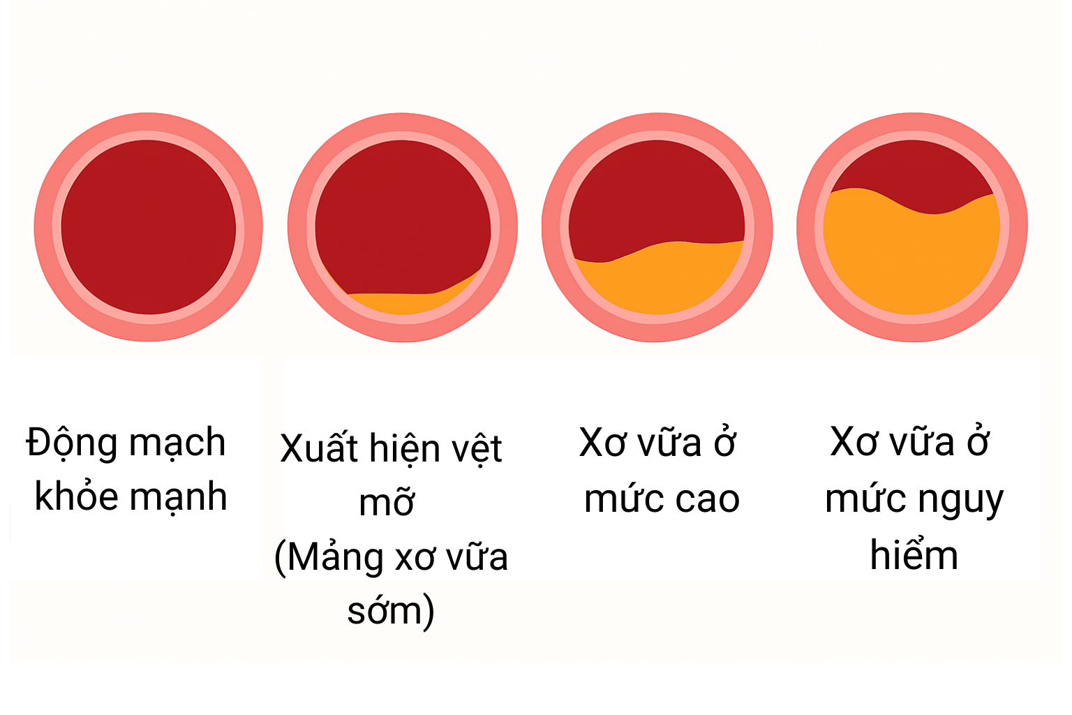 ng-mach-khoe-manh-1751435662798-1751435662866391914997.png