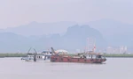 Vụ lật tàu trên Vịnh Hạ Long: Thuyền viên duy nhất sống sót kể lại phút sinh tử - Ảnh 7.